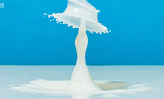 椰汁出圈，是否擦边？