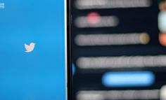 Twitter難民涌入“長(zhǎng)毛象”，這個(gè)小眾社交平臺(tái)咋一夜爆紅