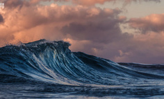 跨境电商，巨头涌入