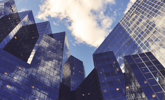 为什么CEO“御驾亲征”的项目都黄了？