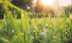 25亿话题播放量，「乌梅子酱」如何洗脑全网？