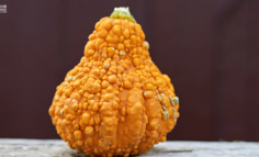 辣眼睛的丑东西，如何成为一种潮流？