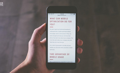 知乎终于悟了，让能赚钱的业务快去赚钱