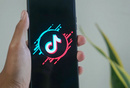 沒兩三百萬學(xué)費(fèi)，別來東南亞做TikTok？