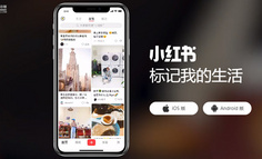 1.3万字丨Notion AI和我一起拆解了小红书