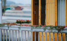 平台网红民宿排位战：美团摩拳擦掌，木鸟刚上途家