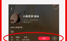 素人做小红书电商好做吗❓请学习她❗️