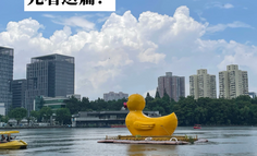 7年市场人：想转行做广告策划，建议先看看❗️