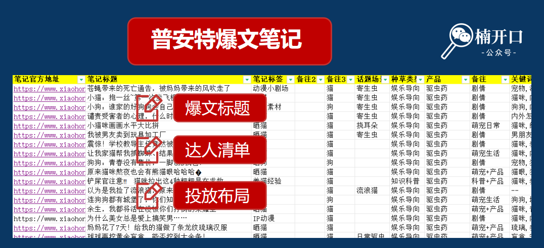 新品上市如何推广？3步让新品即爆品！