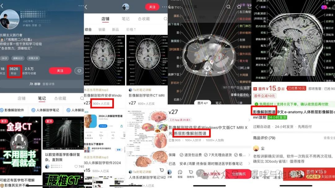 10個不常見的小紅書虛擬資料賽道商品，找方向的請進