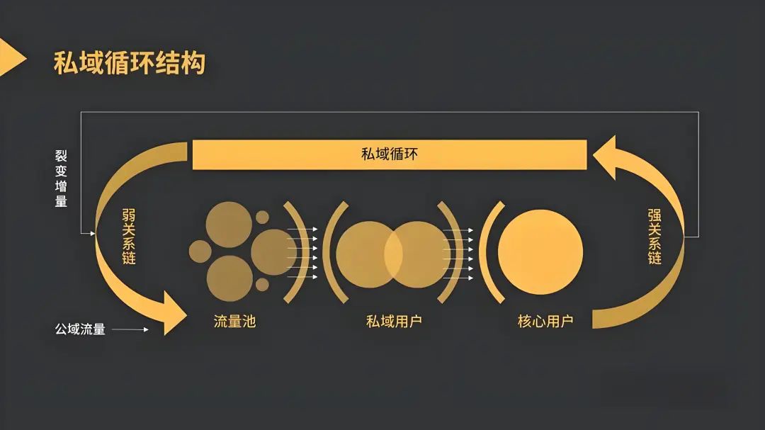 私域運營指南：全面解讀私域體系搭建與運營流程，搭建高效轉化私域閉環