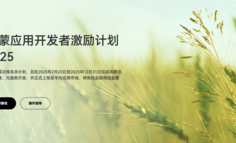 从激励到博弈，“严格审核”对开发者来说意味着什么？