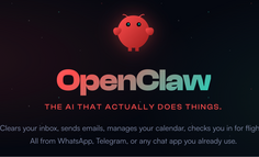 最适合新手安装的10个小龙虾🦞 skills来了！