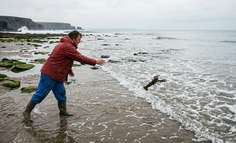 OpenClaw退潮：一场反直觉的产品狂欢为何开始降温