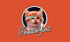 最近两个月 Product Hunt 最火的 AI 产品，都在做什么