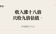 年收入一年涨了18倍，市场却只给它9倍市销率