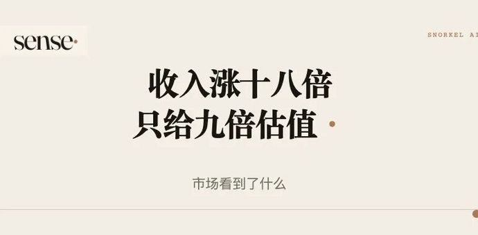 年收入一年涨了18倍，市场却只给它9倍市销率