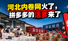 河北内卷网火了，拼多多的活爹来了