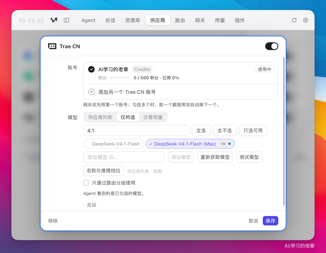 Trae CN 供应商配置