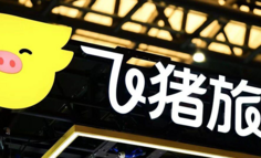飞猪正在起势