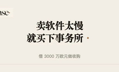 卖AI给事务所太慢，他们借了3000万欧元把事务所买下来