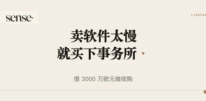 卖AI给事务所太慢，他们借了3000万欧元把事务所买下来